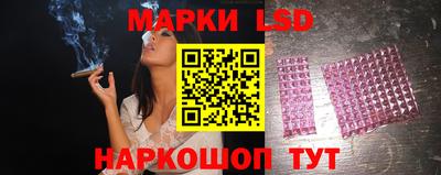 трава Сланцы