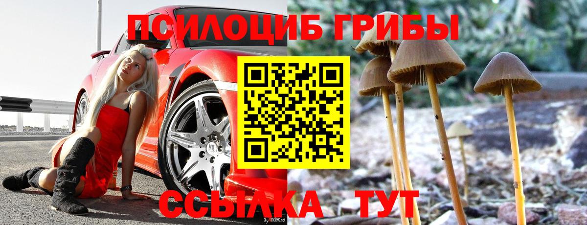 Галлюциногенные грибы Cubensis  где найти   Псилоцибиновые грибы Psilocybine cubensis  Ачинск  Вход с VPN 