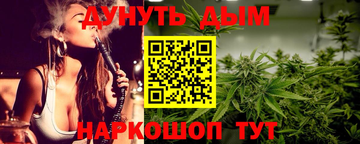 Бошки Шишки семена Ачинск
